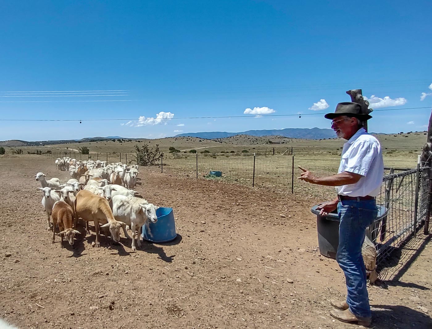 Pete Ditmars raises lamb and beef with his wife, Jessica Aberly, outside Magdalena at Dunhill Ranch.