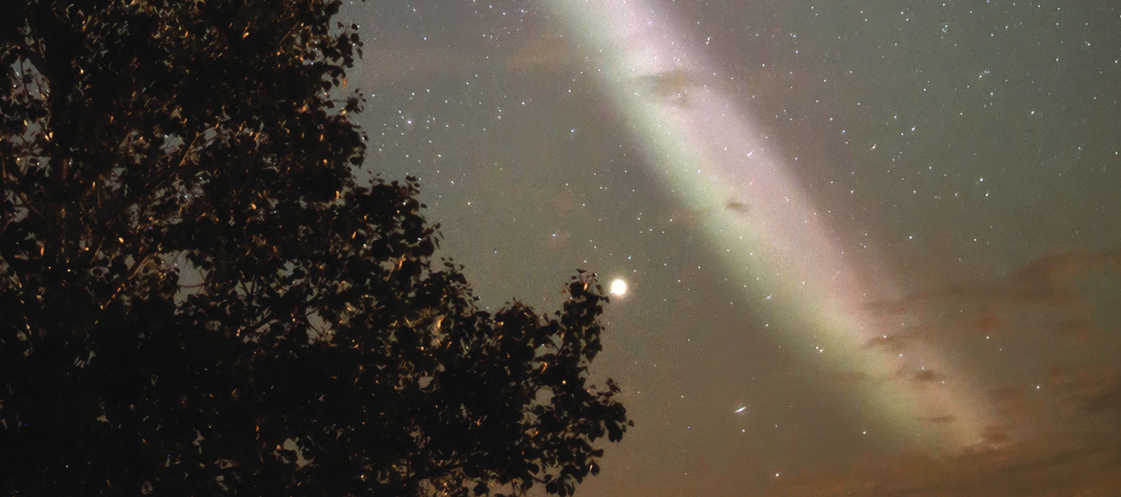Hale to the stars July