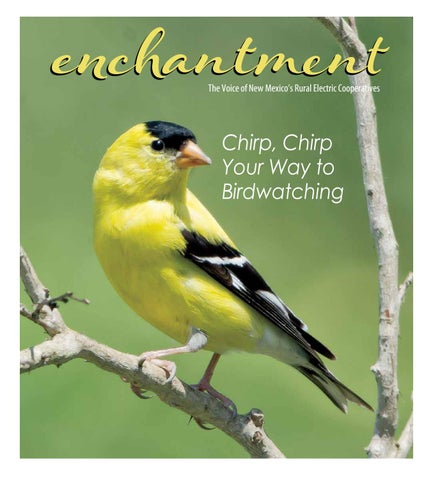 enchantment magazine cover