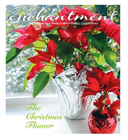 enchantment magazine cover