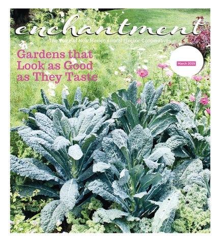 enchantment magazine cover