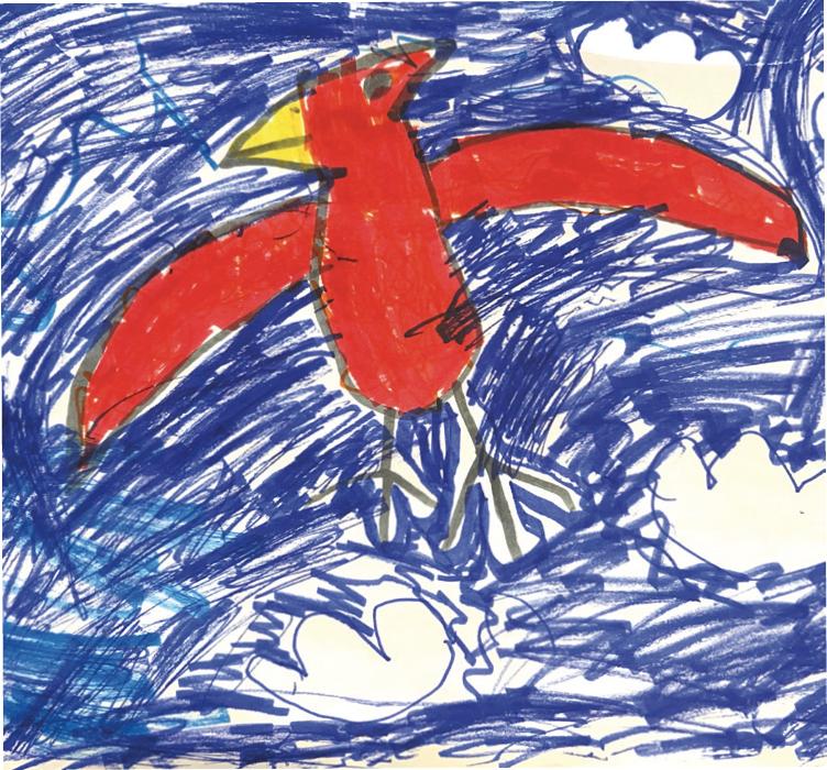 Bird