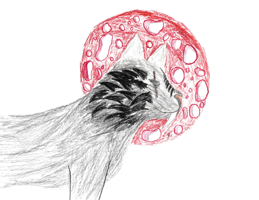 Kelbi Fuhrmann, Age 13, CD