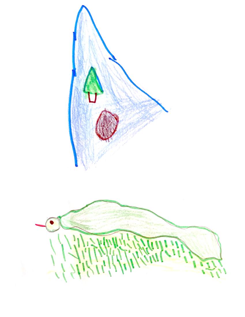 Eli Barbour, Age 6, Central Valley Electric