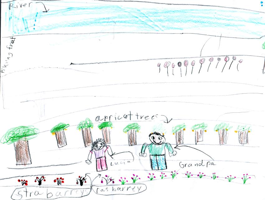 Lucia Vigil, 8, Jemez Mountains Electric, Chimayo