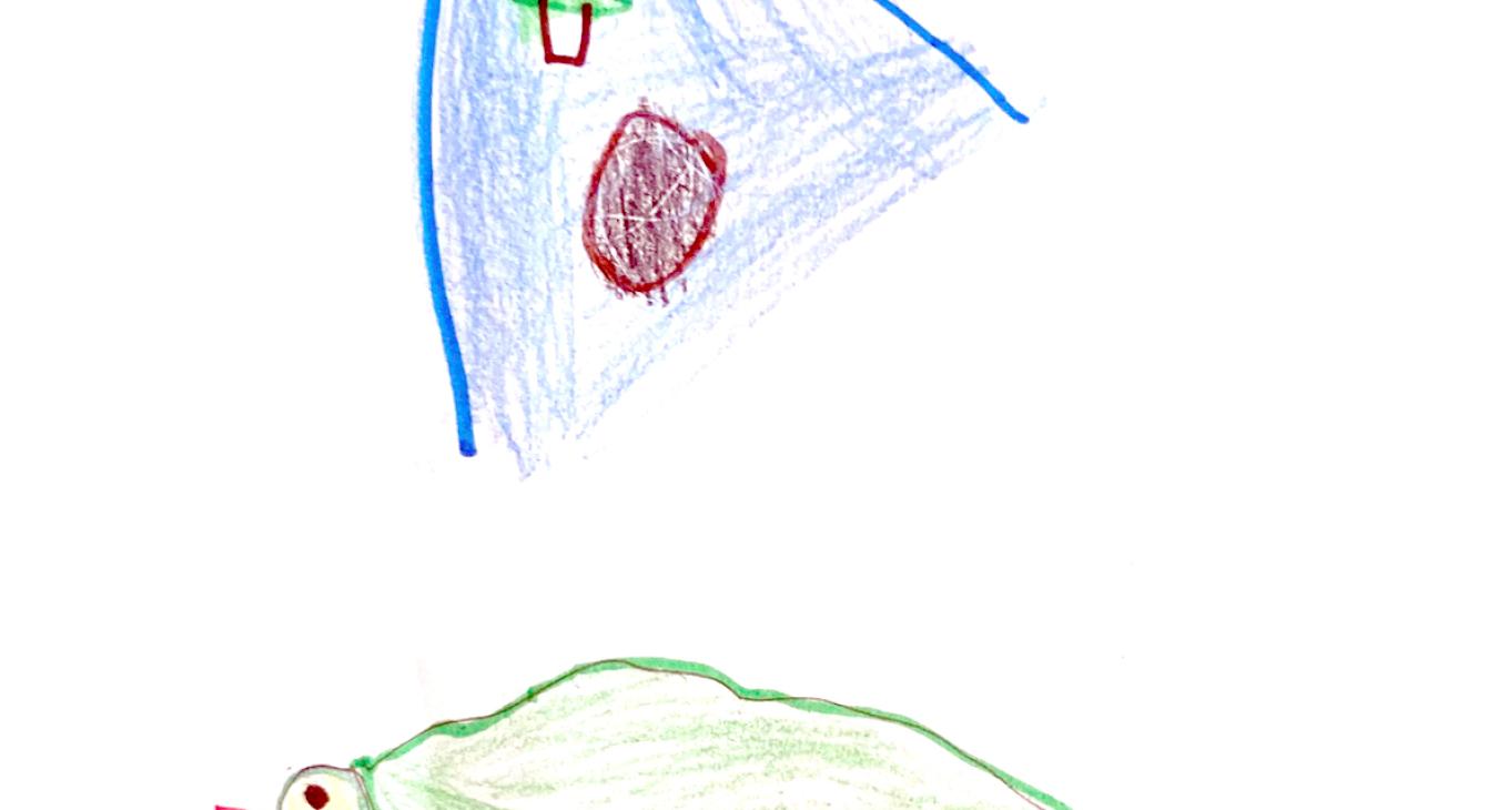 Eli Barbour, Age 6, Central Valley Electric