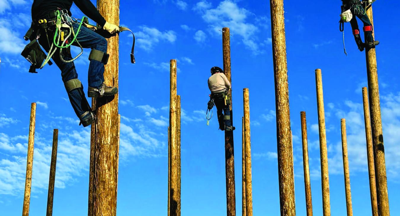 Linemen climbing poles