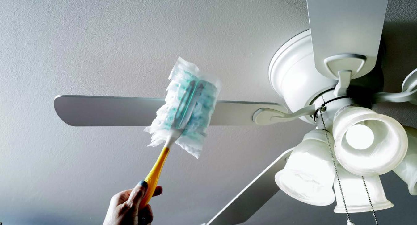 Dusting fan blades