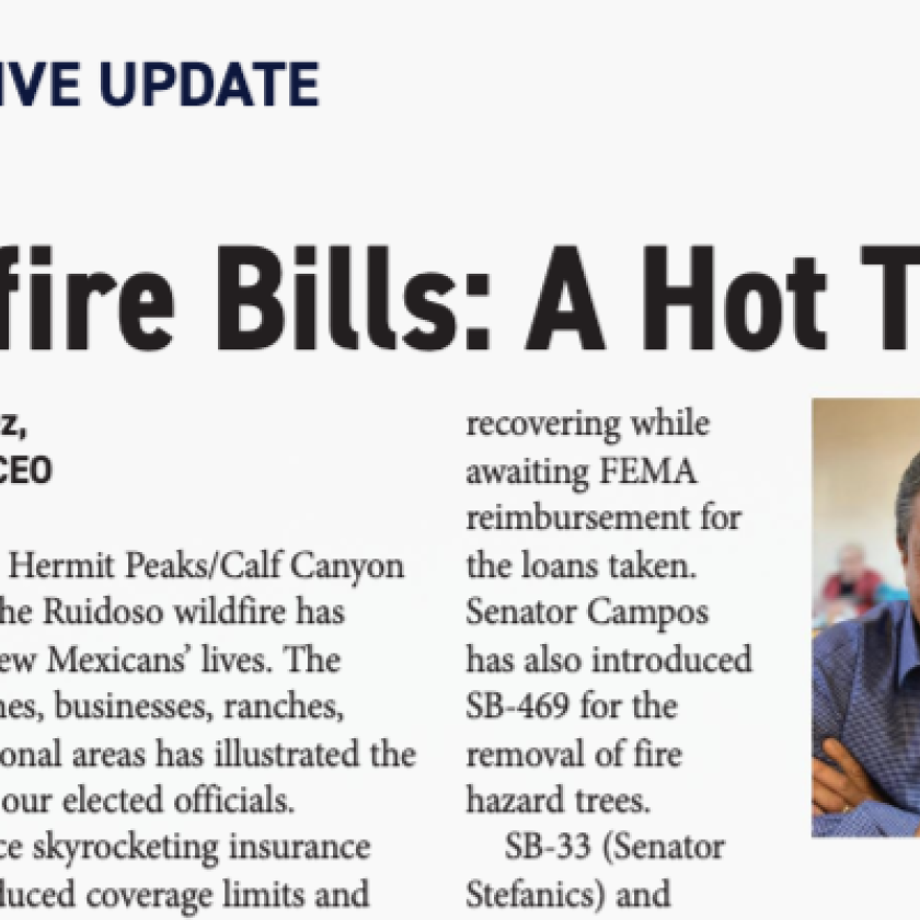 CEO Column April