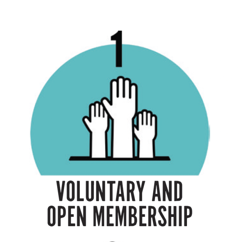 Voluntary Membership