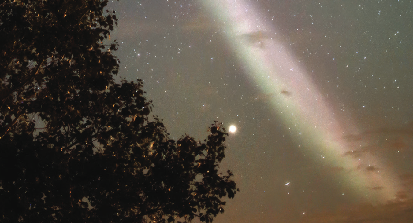 Hale to the stars July